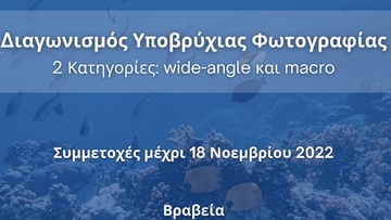 Πρόσκληση σε διαγωνισμό ελεύθερης κατάδυσης, υποβρύχιας φωτογραφίας από την Περιφέρεια Ν. Αιγαίου 