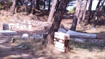 Ασυνείδητος εγκατέλειψε κούτες με ψάρια μέσα στο δάσος