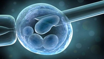 Χ. Γιασιράνη: Η σημασία του εορτασμού της Παγκόσμιας Ημέρας Ομφαλικών Βλαστοκυττάρων