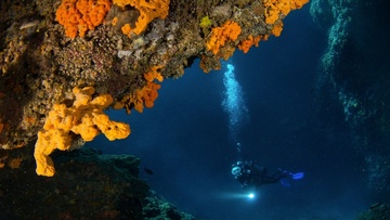 Με περισσότερες από 100 φωτογραφίες του πλούσιου βυθού του Νοτίου Αιγαίου ολοκληρώθηκε ο διαγωνισμός Υποβρύχιας Φωτογραφίας της Περιφέρειας