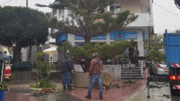 Χριστουγεννιάτικο δέντρο... 15 μέτρων στα Μαριτσά 