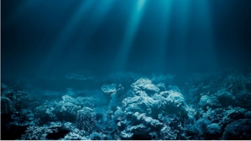 Διεθνές Σχολείο της Θάλασσας: Οι εκπαιδευτικές δράσεις συνεχίζονται δυναμικά στην καρδιά του χειμώνα