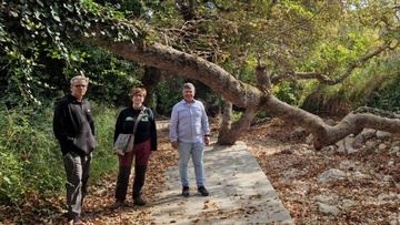 Επίσκεψη γεωπόνων στη Ρόδο για την αξιολόγηση  και διαχείριση εμβληματικών δέντρων 