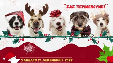 Σήμερα το μπαζάρ της Φιλοζωικής Ρόδου 