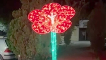 Ένας φωτεινός ιβίσκος στον κήπο του «Ήχος και Φως»