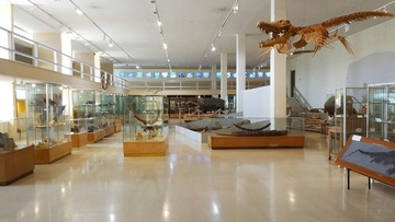 Ολοκληρώνονται οι εργασίες στο Παλαιοντολογικό μουσείο Τήλου