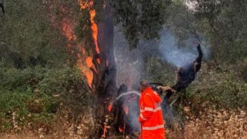 Δύο φωτιές από κεραυνούς σε δέντρα κλήθηκε να αντιμετωπίσει η Π.Υ Ρόδου εν μέσω βροχόπτωσης