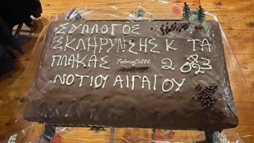 Η εκδήλωση για την κοπή πίτας του Συλλόγου Σκλήρυνσης κατά Πλάκας Ν. Αιγαίου