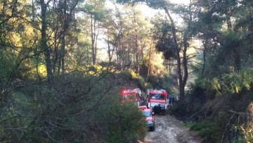 Επικίνδυνη φωτιά σε δασική περιοχή στον Καλαμώνα - Μεγάλη κινητοποίηση πυροσβεστικών δυνάμεων στη Ρόδο