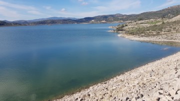 «Τα βρώσιμα της γης»: Εκπαιδευτική εκδρομή για τα βότανα της Ρόδου