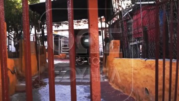 «Δεν είμαι εγώ ο δολοφόνος  του πατέρα μου» ισχυρίστηκε ο 40χρονος Ροδίτης
