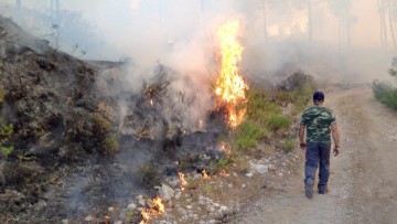 Λίγες (ευτυχώς) πυρκαγιές πέρυσι