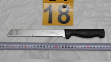 Στο εδώλιο 60χρονος Αλβανός για τη στυγερή δολοφονία Ρουμάνας