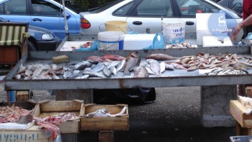 Νέες άδειες για υπαίθριο πλανόδιο εμπόριο από την περιφέρεια