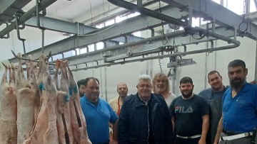 Αυξημένες οι ποσότητες αμνοεριφίων φέτος για τον εφοδιασμό της τοπικής αγοράς