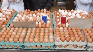 Στην «τσιμπίδα» του ΣΔΟΕ 300.000 αυγά από Βουλγαρία - Μέρος της παρτίδας προορίζονταν και για την Κω