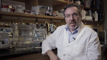 Στη Ρόδο έζησε ο επικεφαλής του ψηφοδελτίου Επικρατείας του ΣΥΡΙΖΑ Όθωνας Ηλιόπουλος - Ο πατέρας του είχε διατελέσει αστυνομικός διευθυντής Δωδεκανήσου