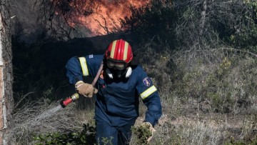 Επικίνδυνη φωτιά κοντά στο Μαντρικό  - Τέθηκε υπό έλεγχο μία ώρα αργότερα