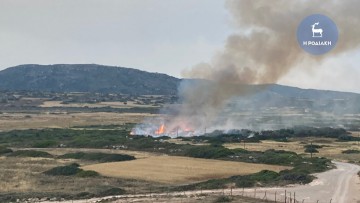 Φωτιά σε εξέλιξη στην περιοχή της Κατταβιάς  - Μεγάλη κινητοποίηση των δασοπυροσβεστικών δυνάμεων στη Ρόδο