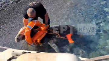 Διάσωση δια θαλάσσης για δύο γαϊδουράκια – Ειδική επιχείρηση από την πυροσβεστική