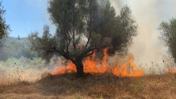 Περιφέρεια Νοτίου Αιγαίου: Πολύ υψηλός κίνδυνος πυρκαγιάς την Τρίτη