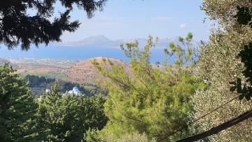 Δήμος Κω: Μίσθωση παραλιακής έκτασης 65 στρεμμάτων