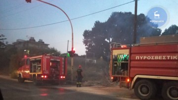 Φωτιά ξέσπασε πριν από λίγο στη διασταύρωση για Κοσκινού