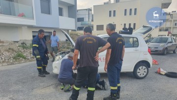 Ρόδος: Φίδι τρύπωσε σε αυτοκίνητο συμπολίτισσάς μας – Ειδικό κλιμάκιο της ΠΥΡ έφθασε στο σημείο