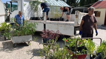 Σε διαρκή παραγωγή και παράδοση φυτών βρίσκεται το Περιφερειακό Φυτώριο