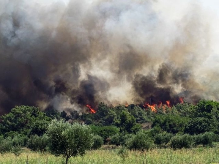 Σύνδεσμος Ιδιοκτητών Κολοσσός Φ.Δ.Χ