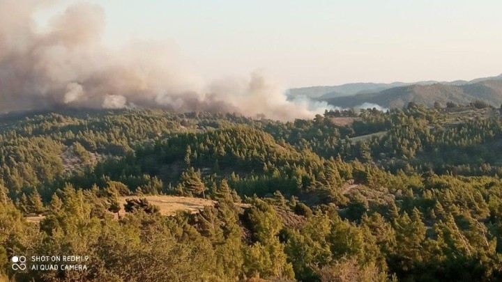 Σάββας Πίσσας