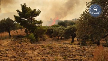 Ακυρώνονται εκδηλώσεις λόγω της φωτιάς - Επίσημες ανακοινώσεις από συλλόγους και φορείς