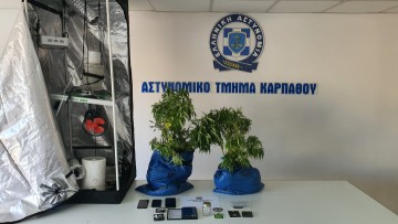 32χρονος στην Κάρπαθο συνελήφθη για καλλιέργεια 10 δενδρυλλίων κάνναβης