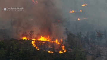 Ρόδος: Οι αναζωπυρώσεις στην πυρκαγιά  είναι συνεχείς- Ισχυρό μέτωπο από Απόλλωνα προς Λάερμα (βίντεο)