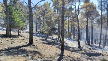 Ρόδος: Συνεχή μάχη με τις αναζωπυρώσεις δίνουν οι δυνάμεις πυρόσβεσης