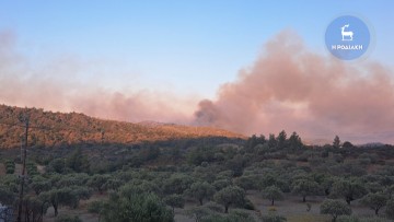 Φωτιά: 13 μέτρα για τη στήριξη των πυρόπληκτων ανακοίνωσε η κυβέρνηση