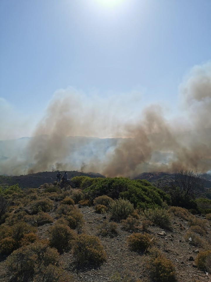 ΦΩΤΟ:Δημήτρης Φέγγος