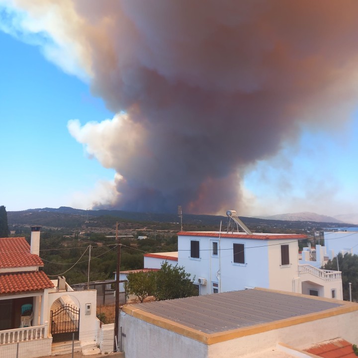 Το μέτωπο της φωτιάς όπως φαίνεται από την περιοχή του Γενναδίου Φωτογραφία: Ποσειδώνας Καλαμπόκης 