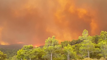 Γιάννης Αρτοποιός: Η πυρκαγιά στη Ρόδο αποτελεί τη δυσκολότερη που αντιμετωπίζουν οι δυνάμεις της Πυροσβεστικής