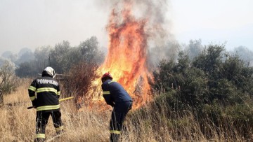 Μαρία Καρίκη: Η ανθρώπινη αλληλεγγύη απέναντι στις φυσικές καταστροφές