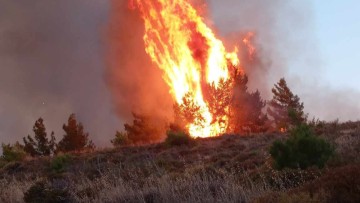 Σε κατάσταση έκτακτης ανάγκης κηρύχθηκε η Νότια Ρόδος