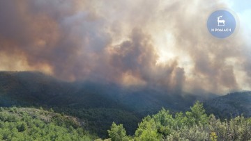 Εκτός ελέγχου η κατάσταση με το μέτωπο της φωτιάς -Ζητήθηκε συνδρομή για πρατήριο καυσίμων