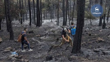 Βίντεο: Δραματικές εικόνες από τη φωτιά που μετέτρεψε τα δάση της Ρόδου σε στάχτη