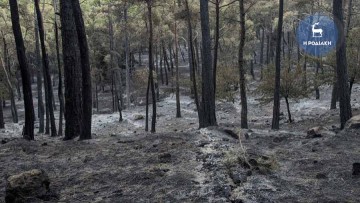 Μήνυμα του 112 για άρση του κινδύνου από τις πυρκαγιές σε 9 χωριά της Ρόδου