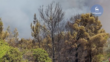 Νέα αναζωπύρωση στον Προφήτη Ηλία- Στο σημείο βρίσκεται η ΕΘΟΜΑΚ