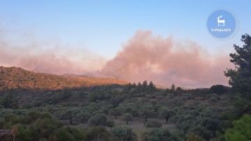 Νέα αναζωπύρωση κοντά στα Πλατάνια - Συνεχείς αναζωπυρώσεις σε όλα τα μέτωπα