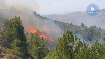 Μήνυση κατ' αγνώστων για εμπρησμό απο πρόθεση στα δάση της Ρόδου θα υποβάλλει στον Άρειο Πάγο ο δήμαρχος Ρόδου