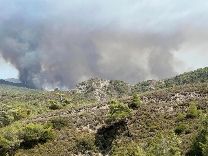 Το μέτωπο στο Βάτι. Φώτο: Γιώργος Πόκκιας
