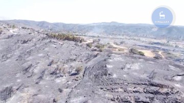 Η Ρόδος μετρά τις πληγές της από τη φωτιά - Εικόνες θλίψης και οργής