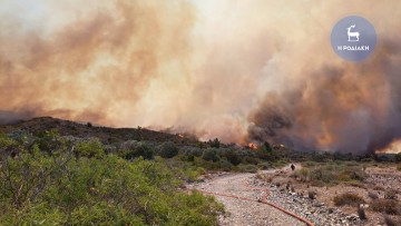 «Έχουν μαυρίσει τα πάντα στα χωριά μας» | Πώς περιγράφουν  οι πρόεδροι των κοινοτήτων την κατάσταση που βίωσε ο τόπος μας